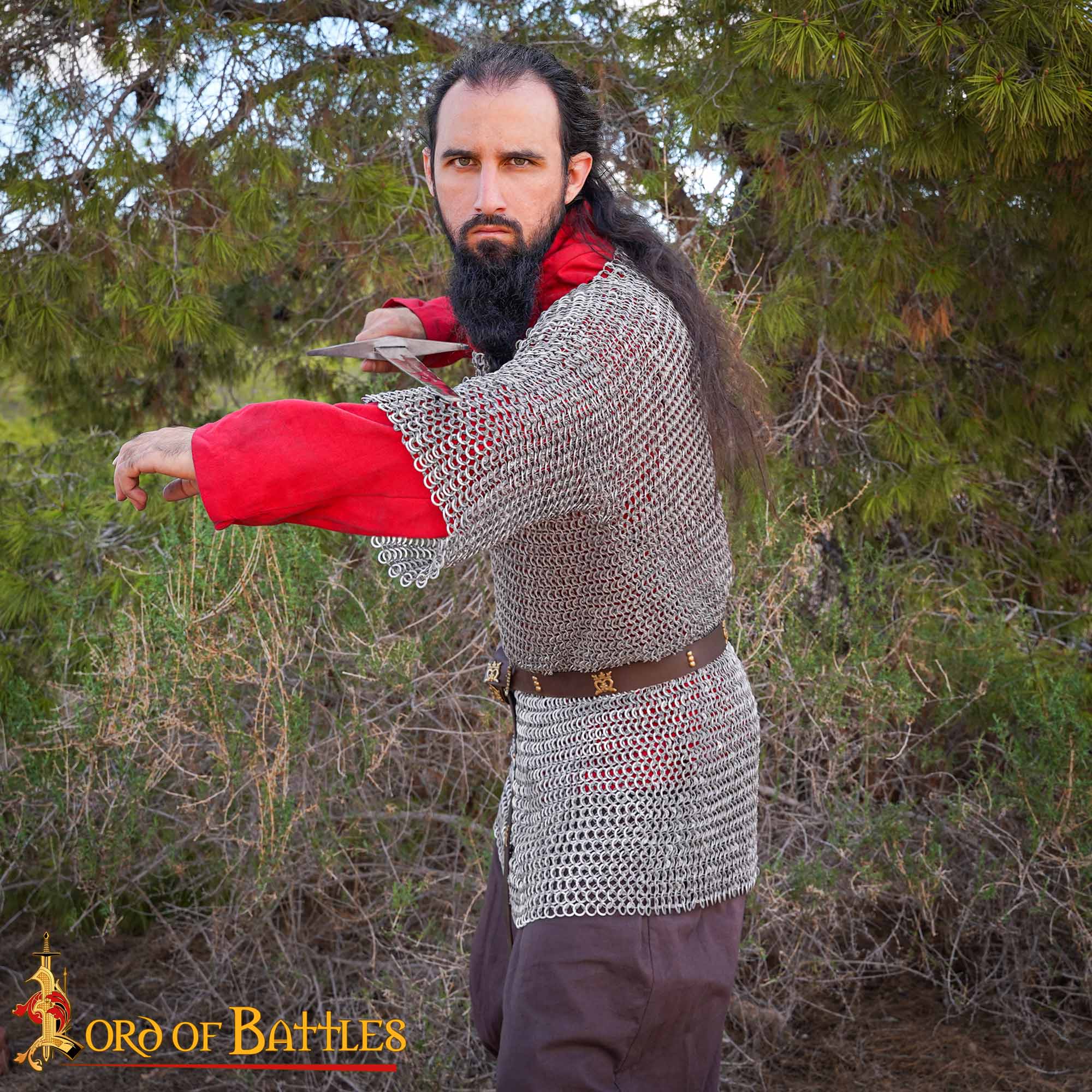 169N_6 chainmail haubergeon