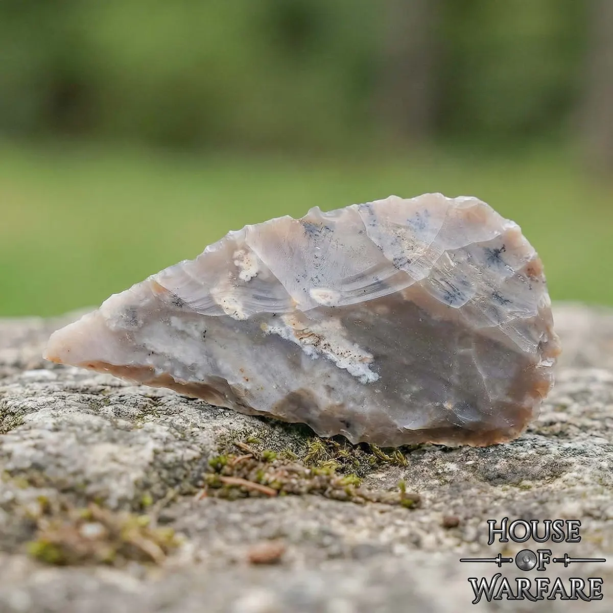 701810-Gallery-Ai-5