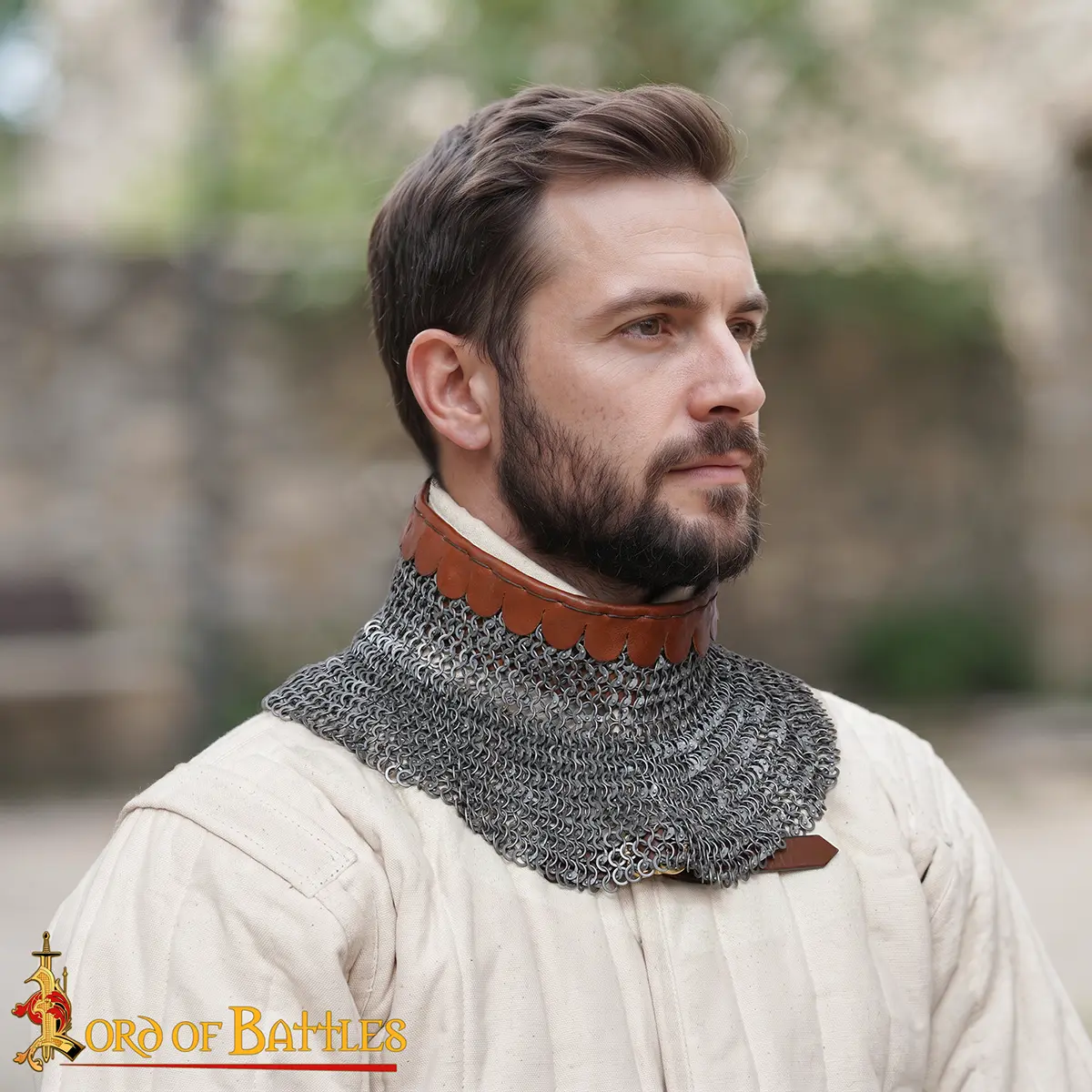 Chainmail Collar Round Ring Round Riveted With Alt Rings, 6mm 18G - Image 7