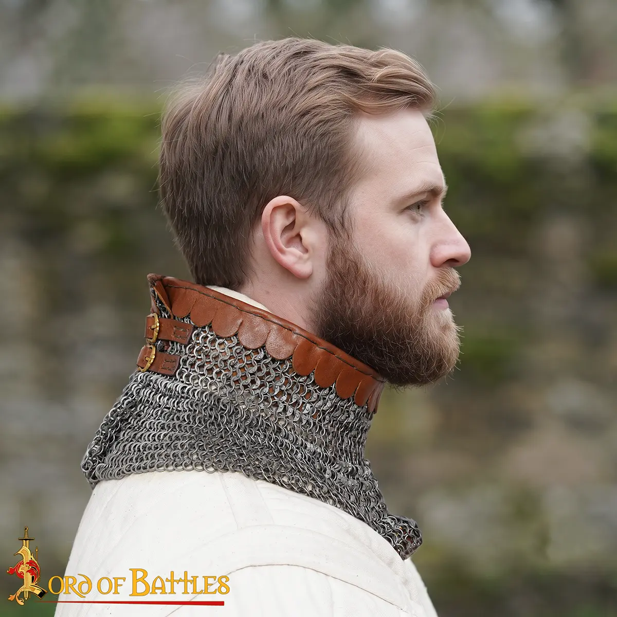 Chainmail Collar Round Ring Round Riveted With Alt Rings, 6mm 18G - Image 8