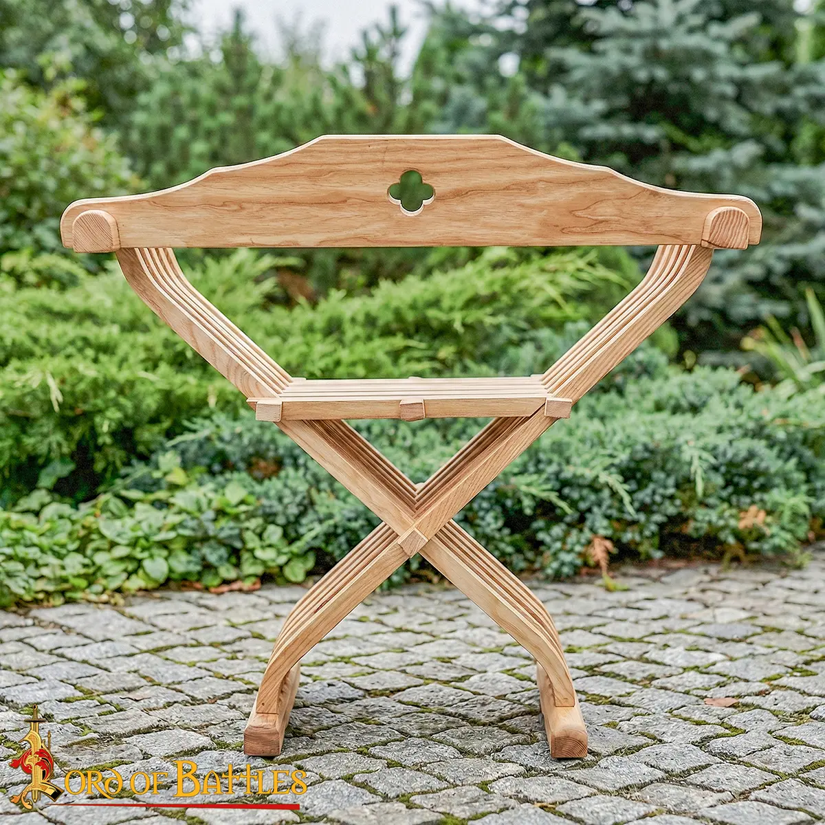 26695-ASH-Gallery-Ai-4