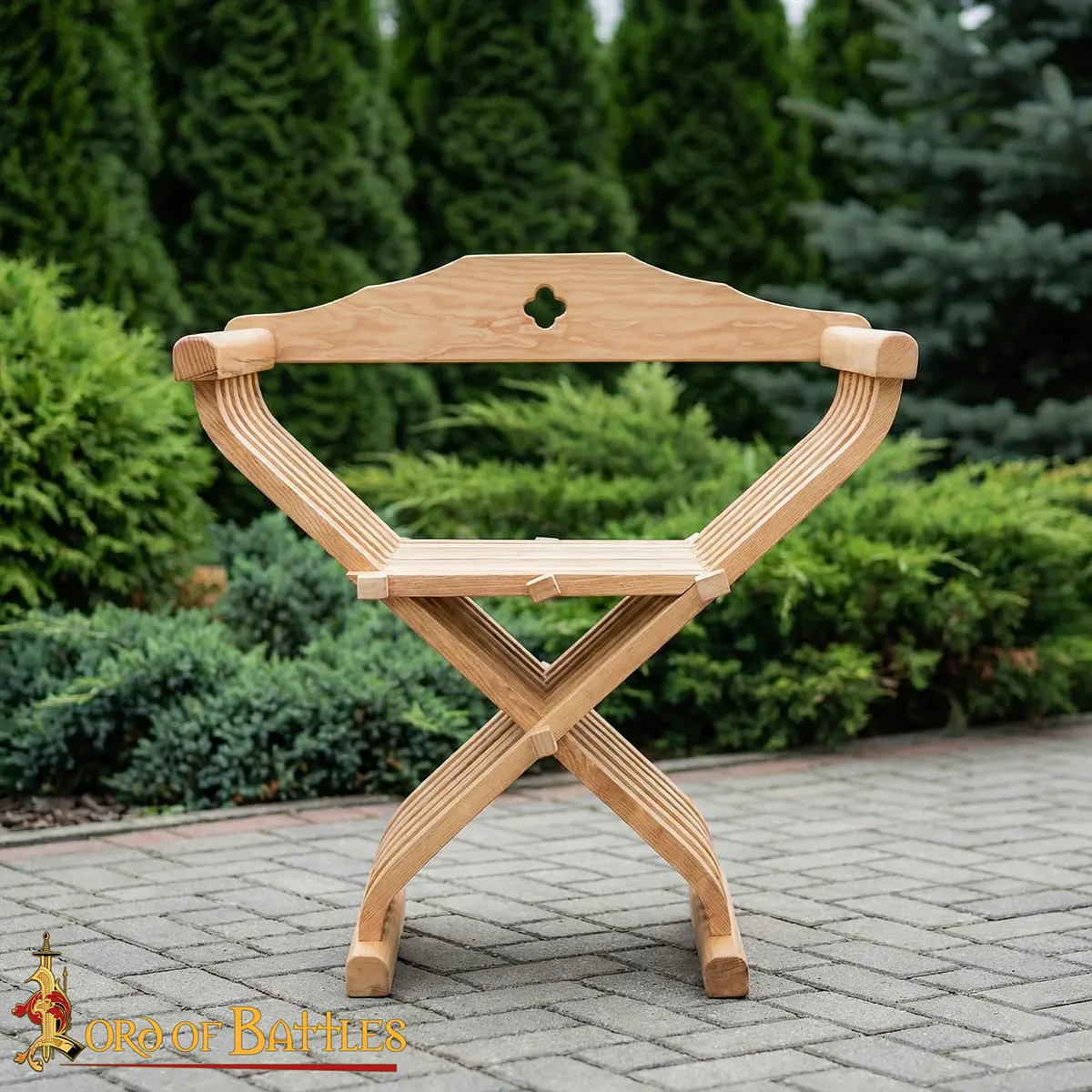 26695-ASH-Gallery-Ai-5