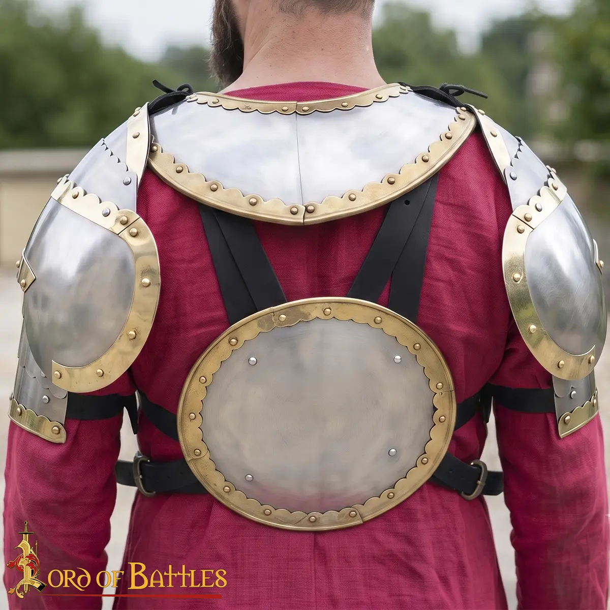 Polish Hussar Cuirass - Image 7