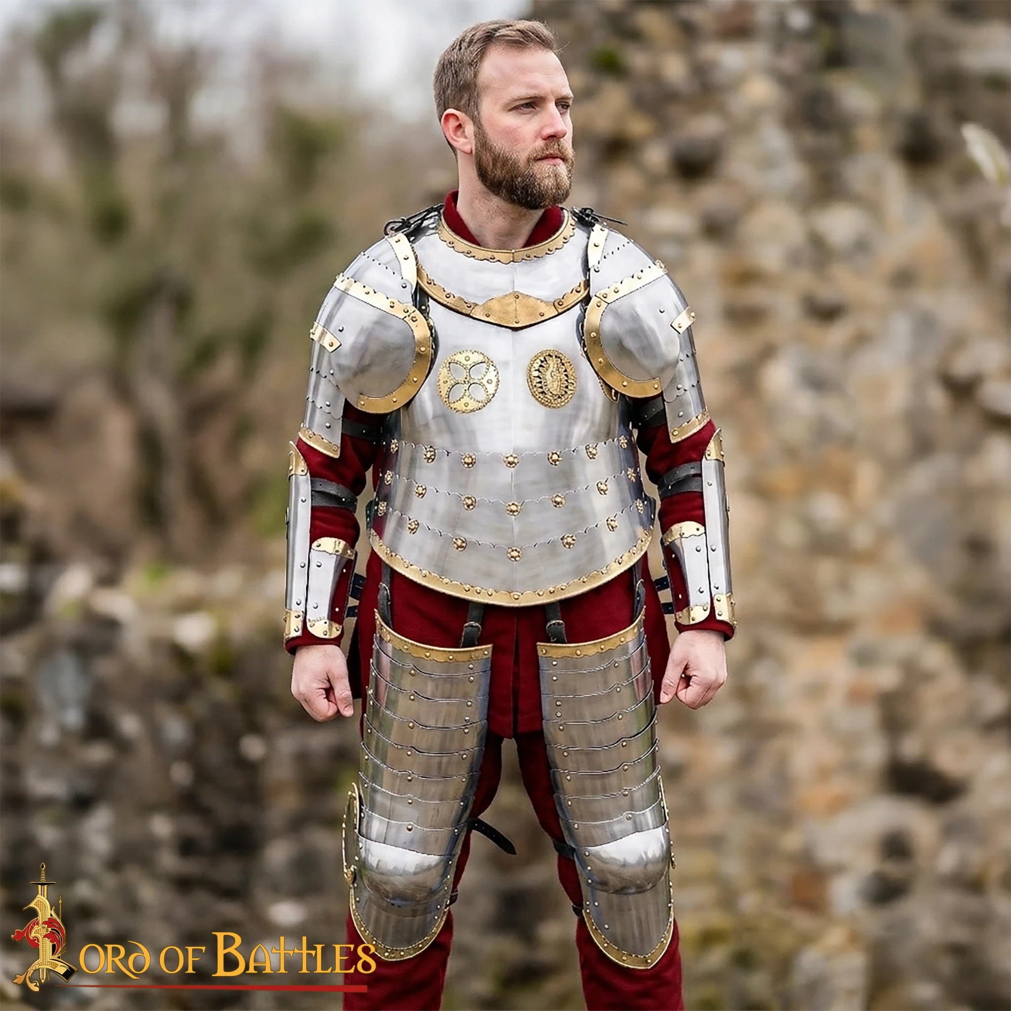 Polish Hussar Cuirass - Image 8