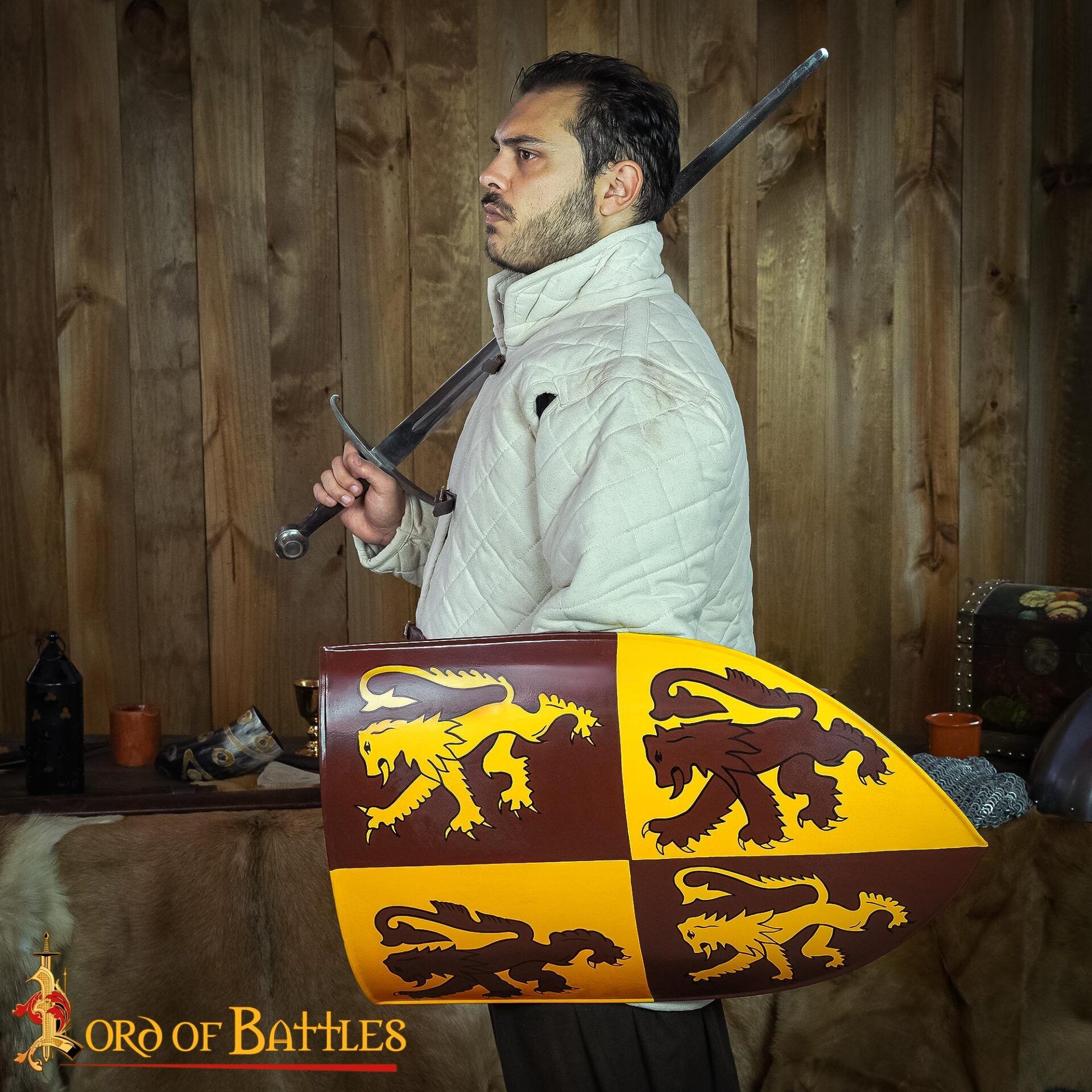 Medieval Shields-25171 5 Decorative Welsh Shield