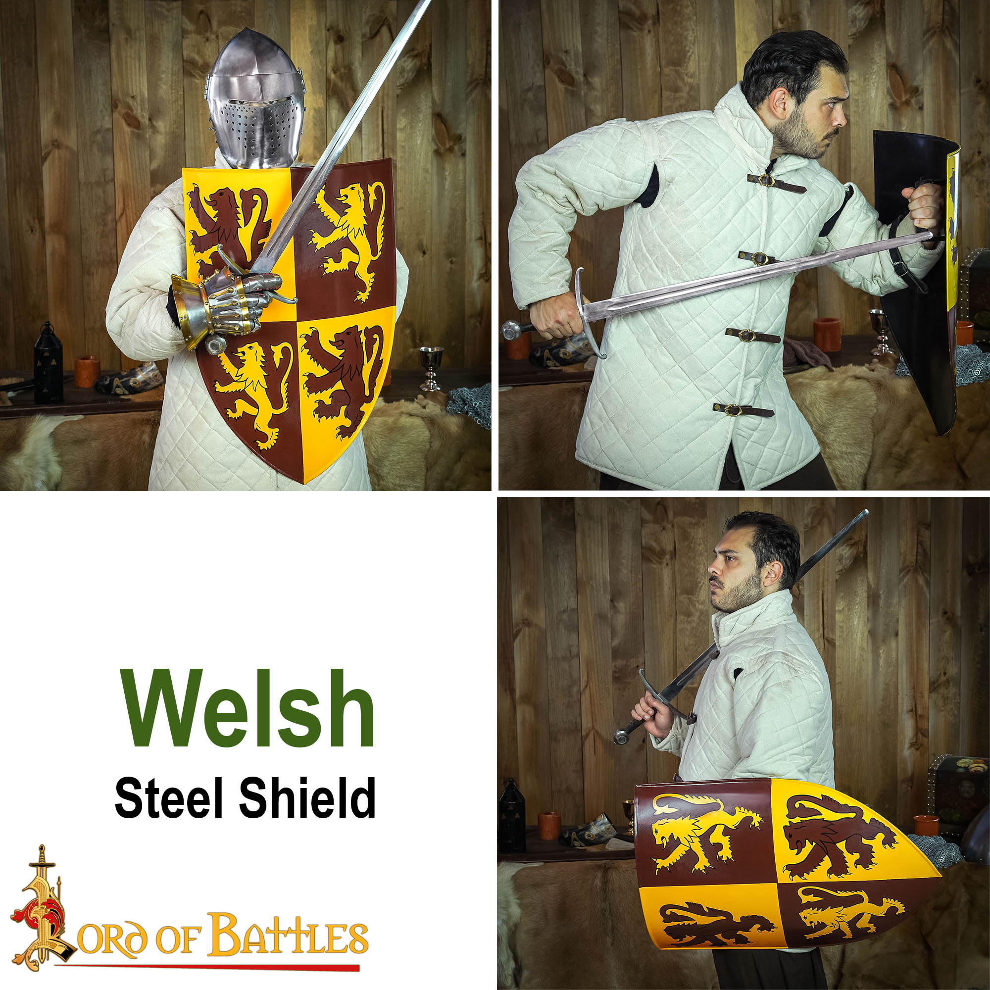 Medieval Shields-25171 7 Decorative Welsh Shield