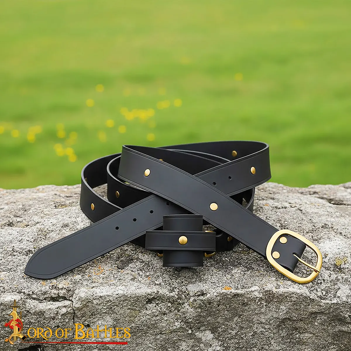 26203BK-Gallery-Ai-6