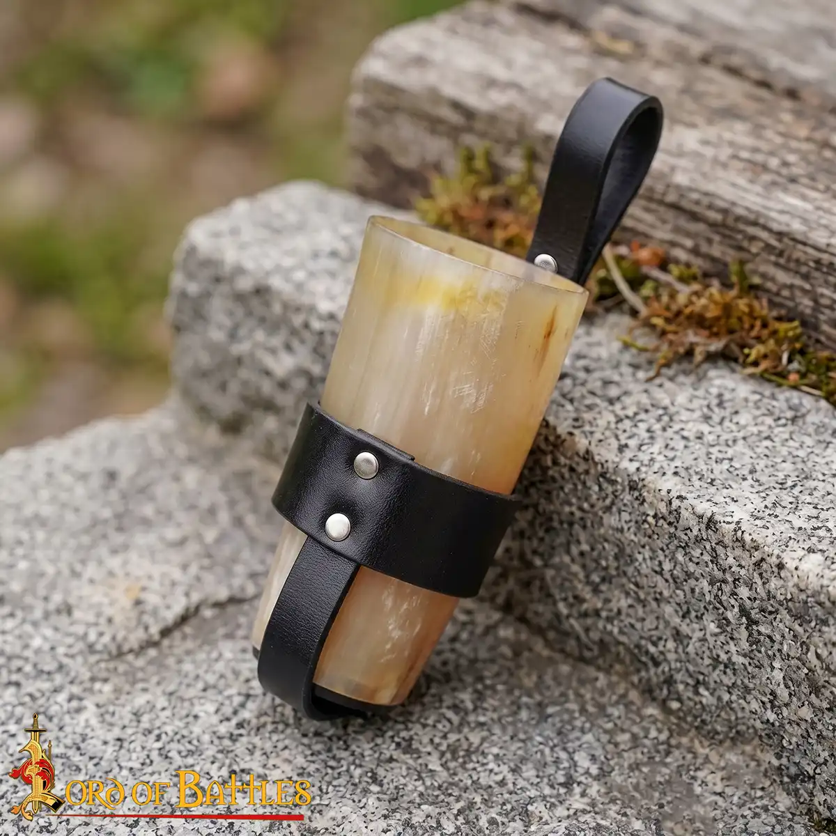 6816BK-Gallery-Ai-4