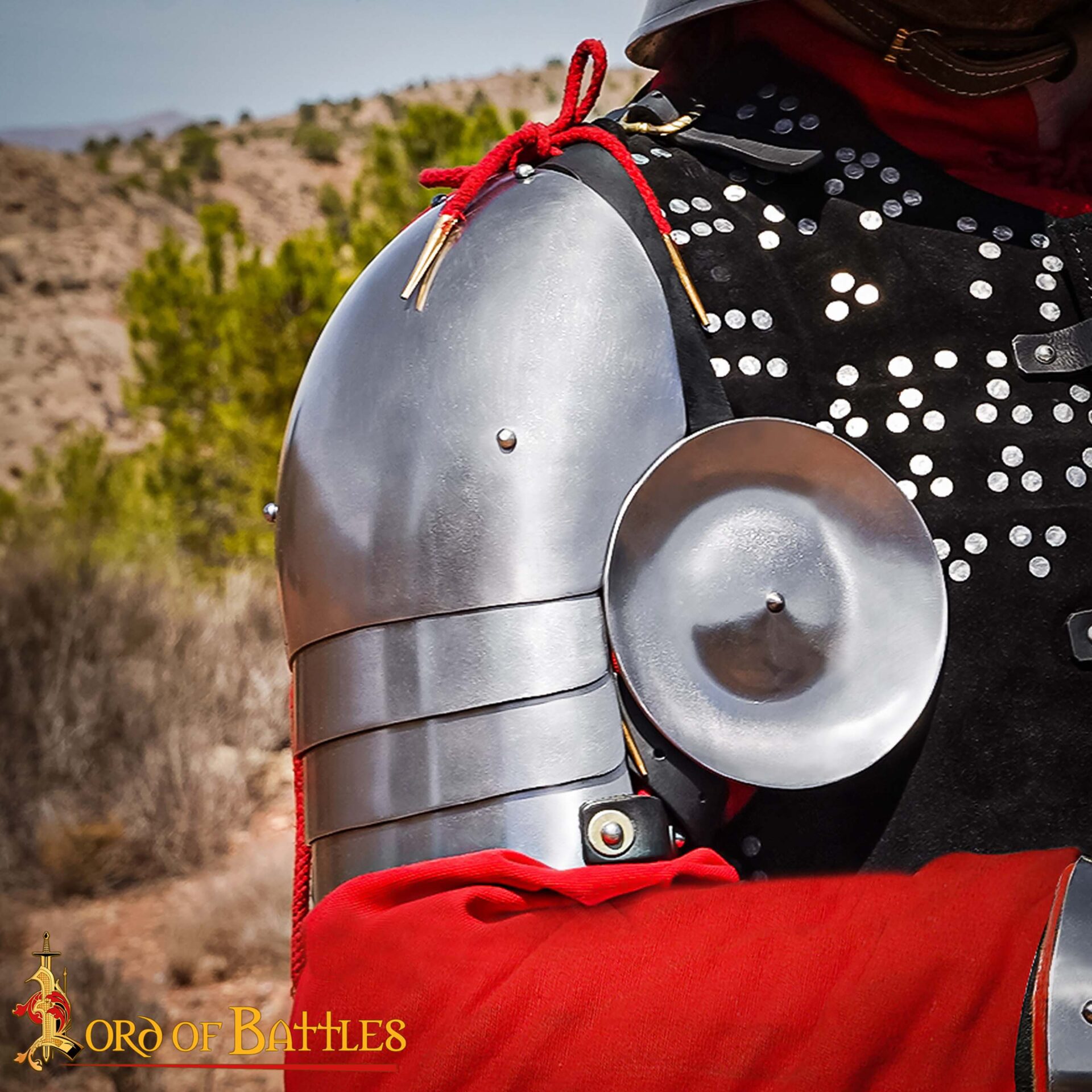 14th–Early 15th Century Steel Pauldrons with Rondel – 16 Gauge Polished Shoulder Armor 14th–Early 15th Century Steel Pauldrons with Rondel – 16 Gauge Polished Shoulder Armor