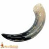 Cow Horn