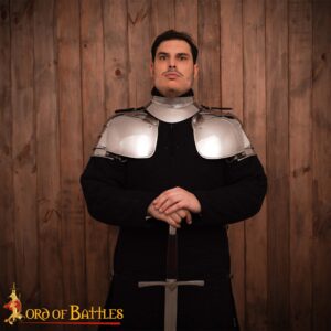 Renaissance Knightly Pauldrons 16 gauge
