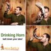 Viking Drinking Horn-4241 6 Drinking Horn