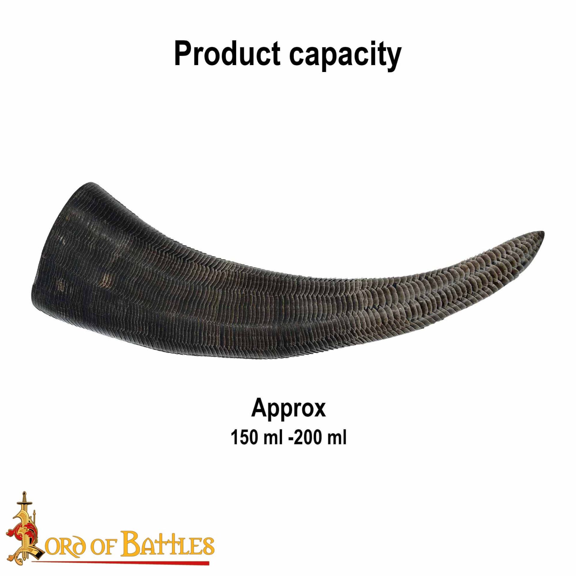 4415_3 Drinking Horn