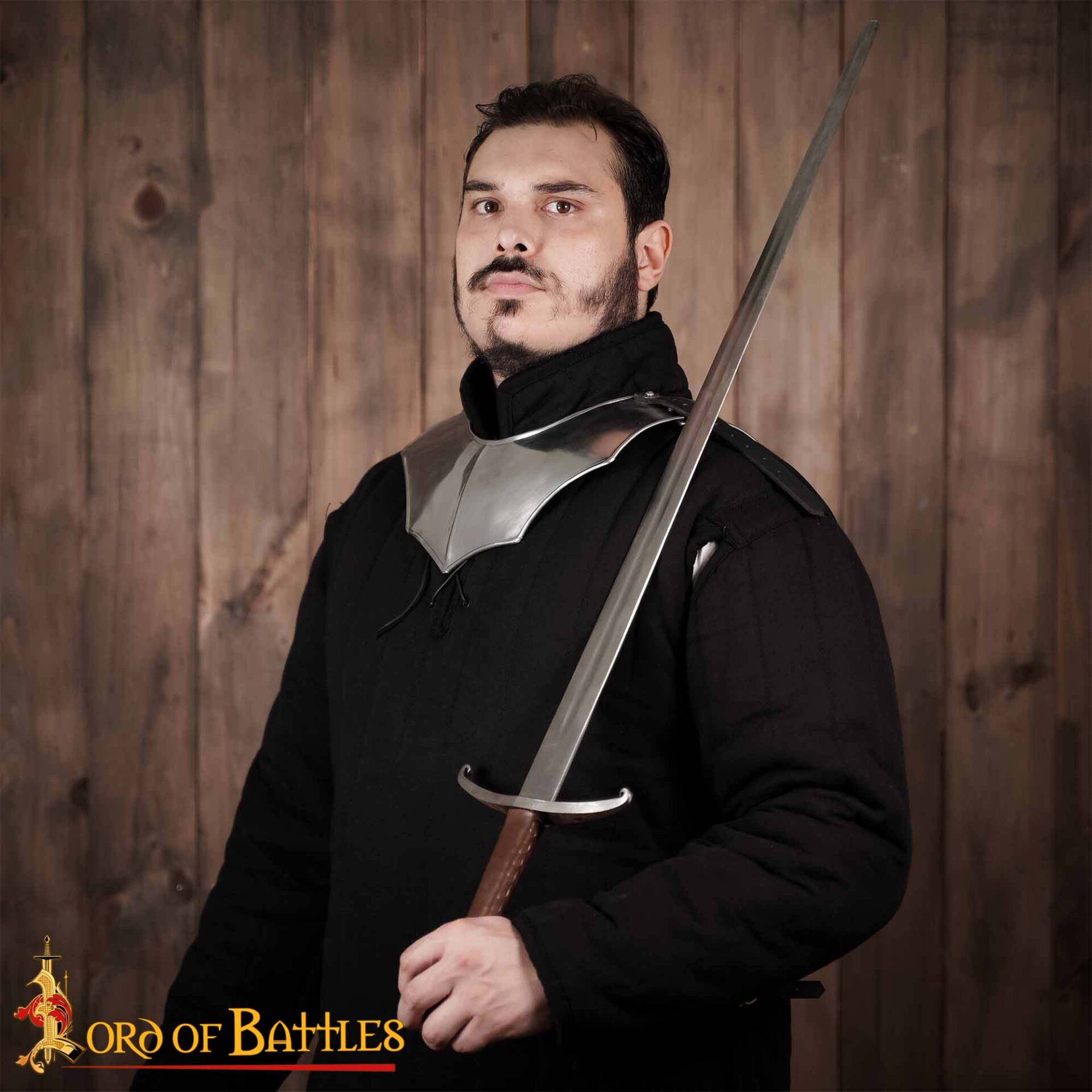 9259_ (8) Medieval Knightly Avenger Gorget