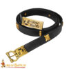 Medieval Leather Belt