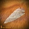 Prehistoric Flint Arrowheads – Neolithic Stone Age Spear & Arrow Tips-1207B Flint Stone