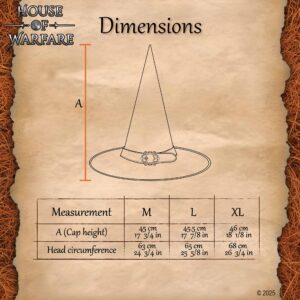 Wizard Hat