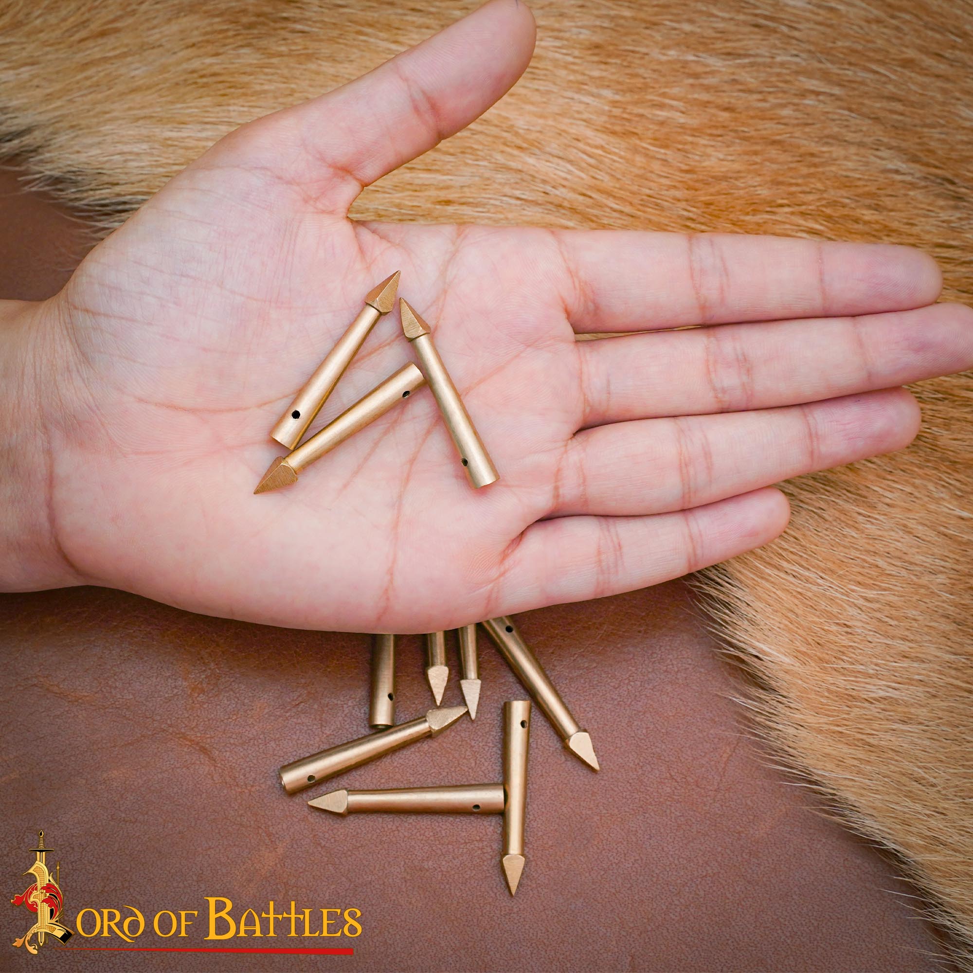 25216_ (5) brass aiglets