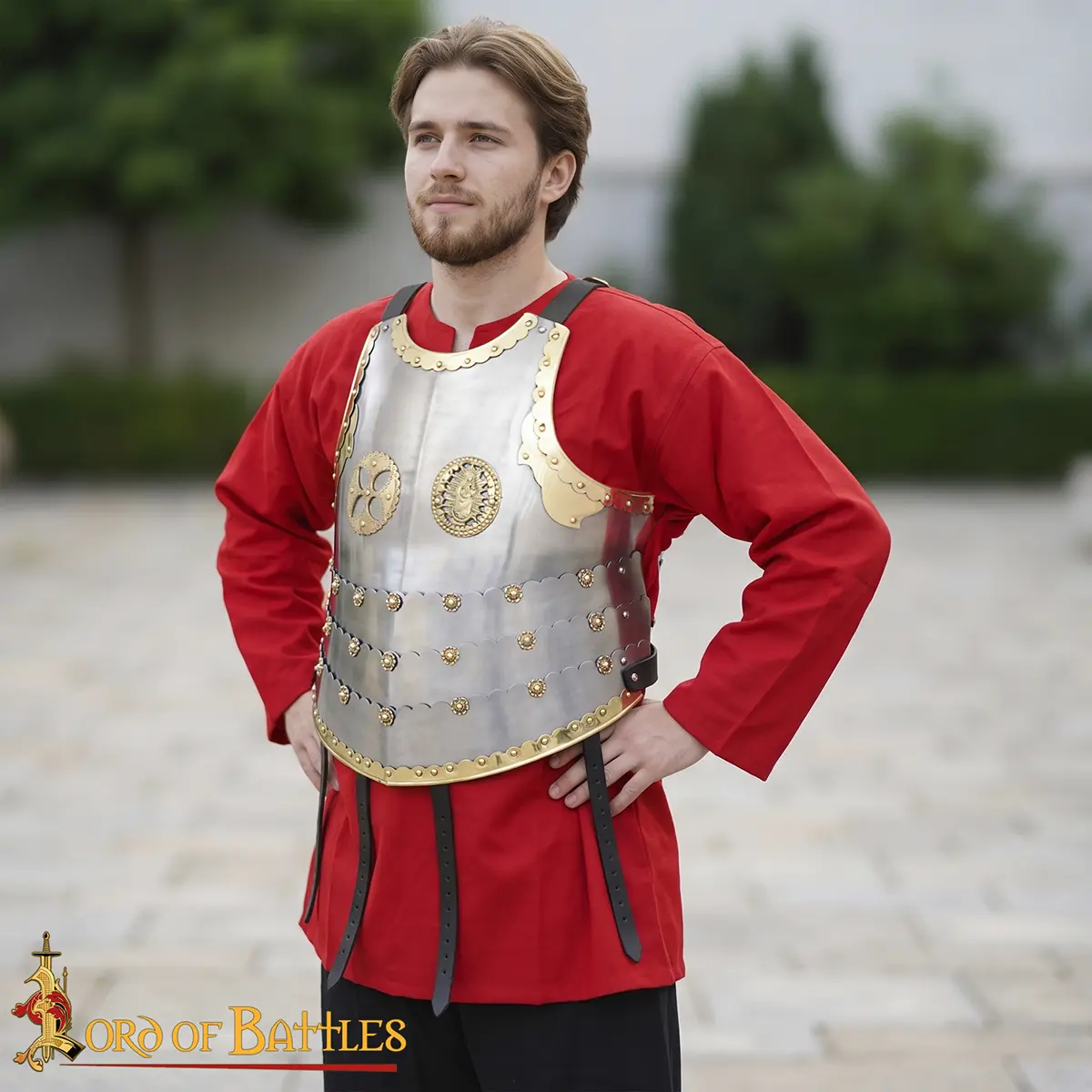 Polish Hussar Cuirass - Image 2