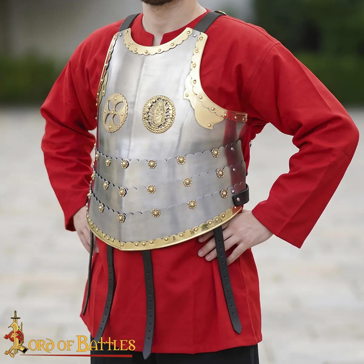 Polish Hussar Cuirass - Image 4