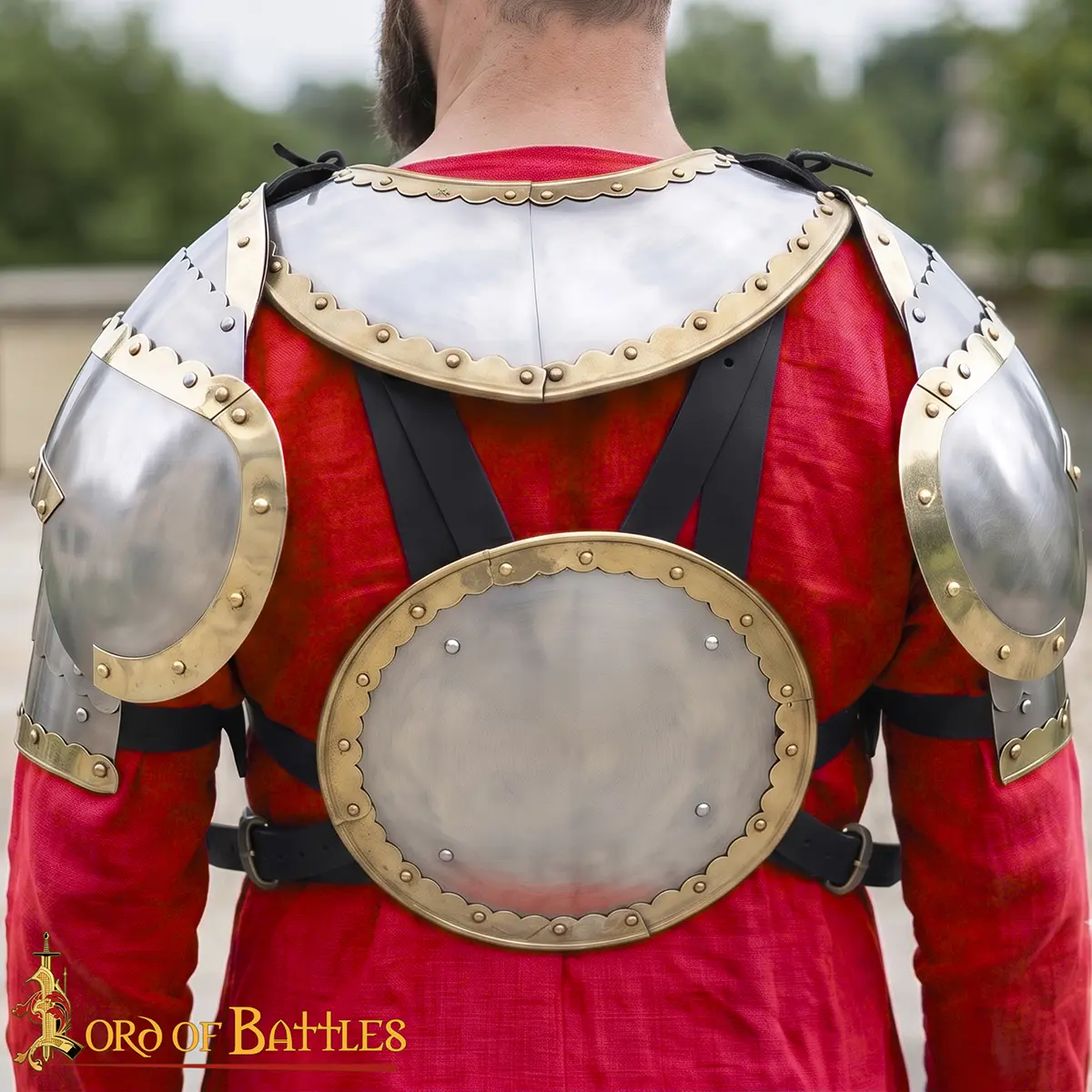 Polish Hussar Cuirass - Image 5