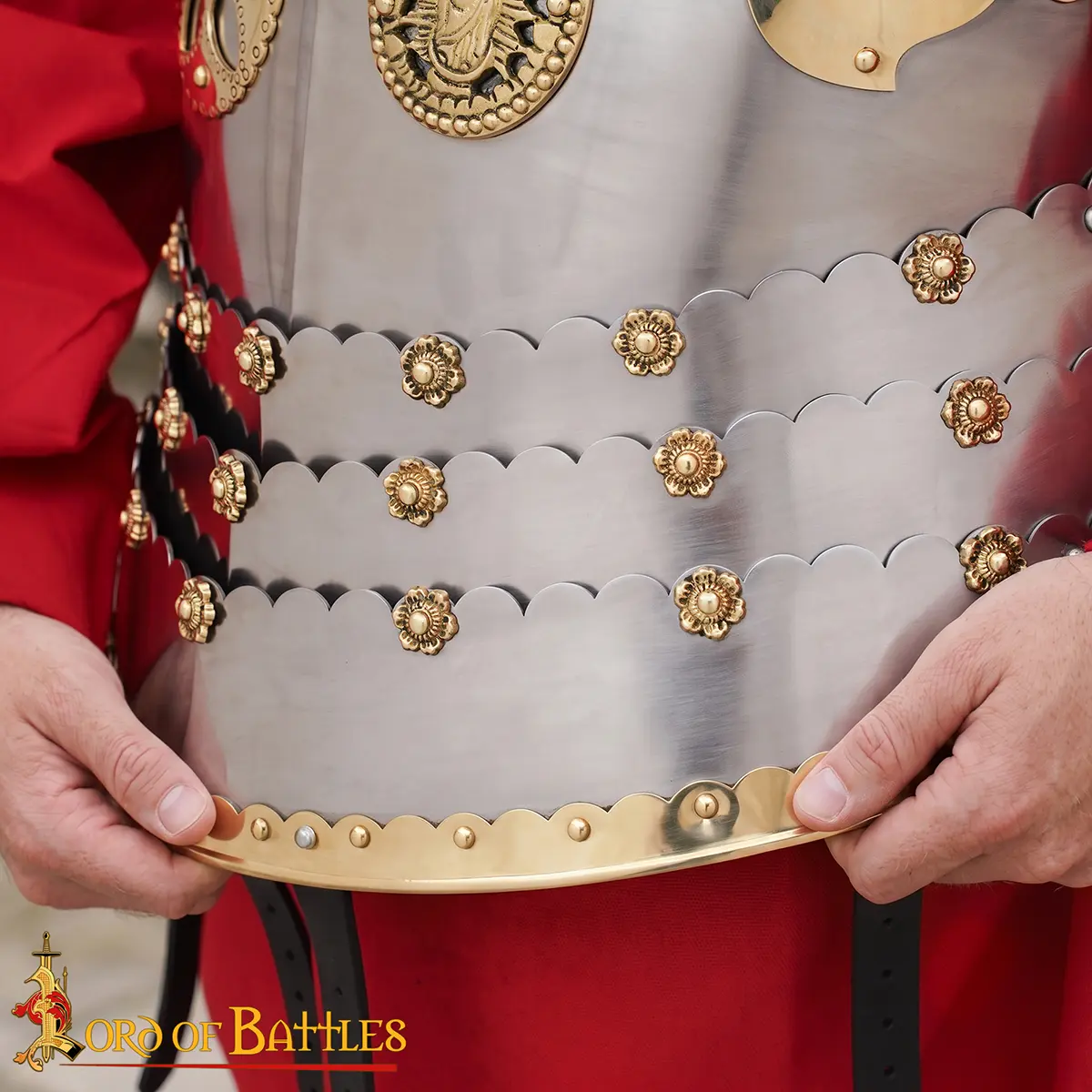 Polish Hussar Cuirass - Image 7