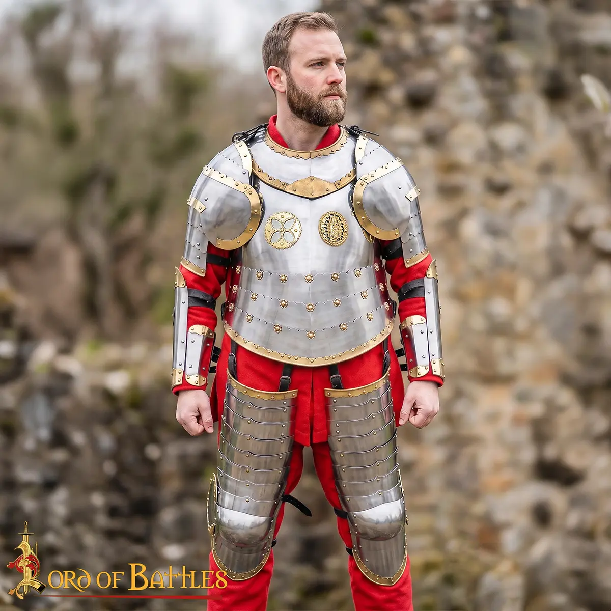 Polish Hussar Cuirass - Image 8