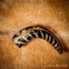 Medieval Viking Drinking Horn with Engraved Designs Handcrafted Genuine Ox Horn