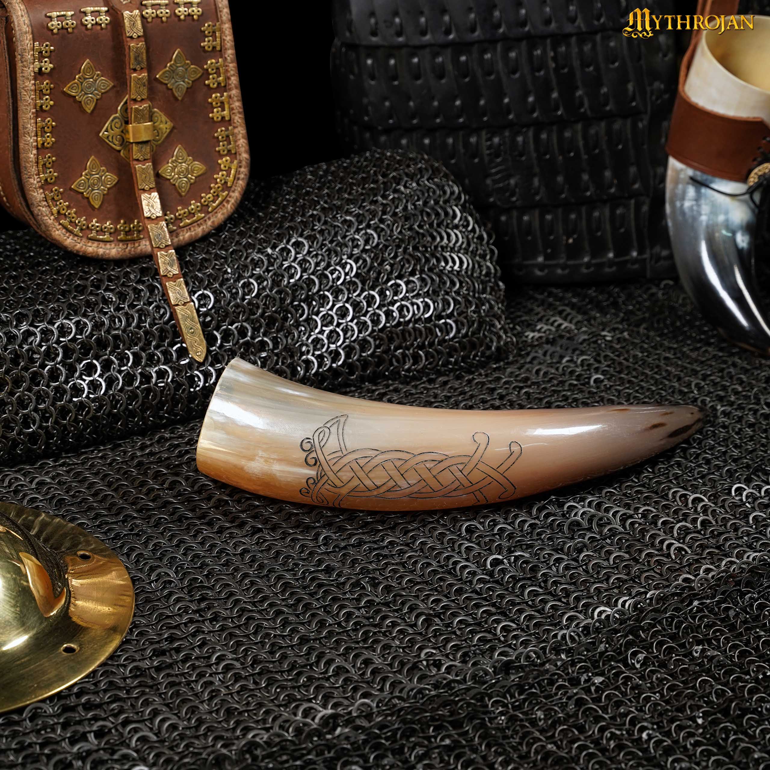 6-DSC00147++ drinking horn