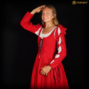 Renaissance Overdress