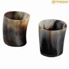 Mythrojan Viking Drinking Horn Shot Glass, Norse Medieval Tankard Shot Glass, Set of 2