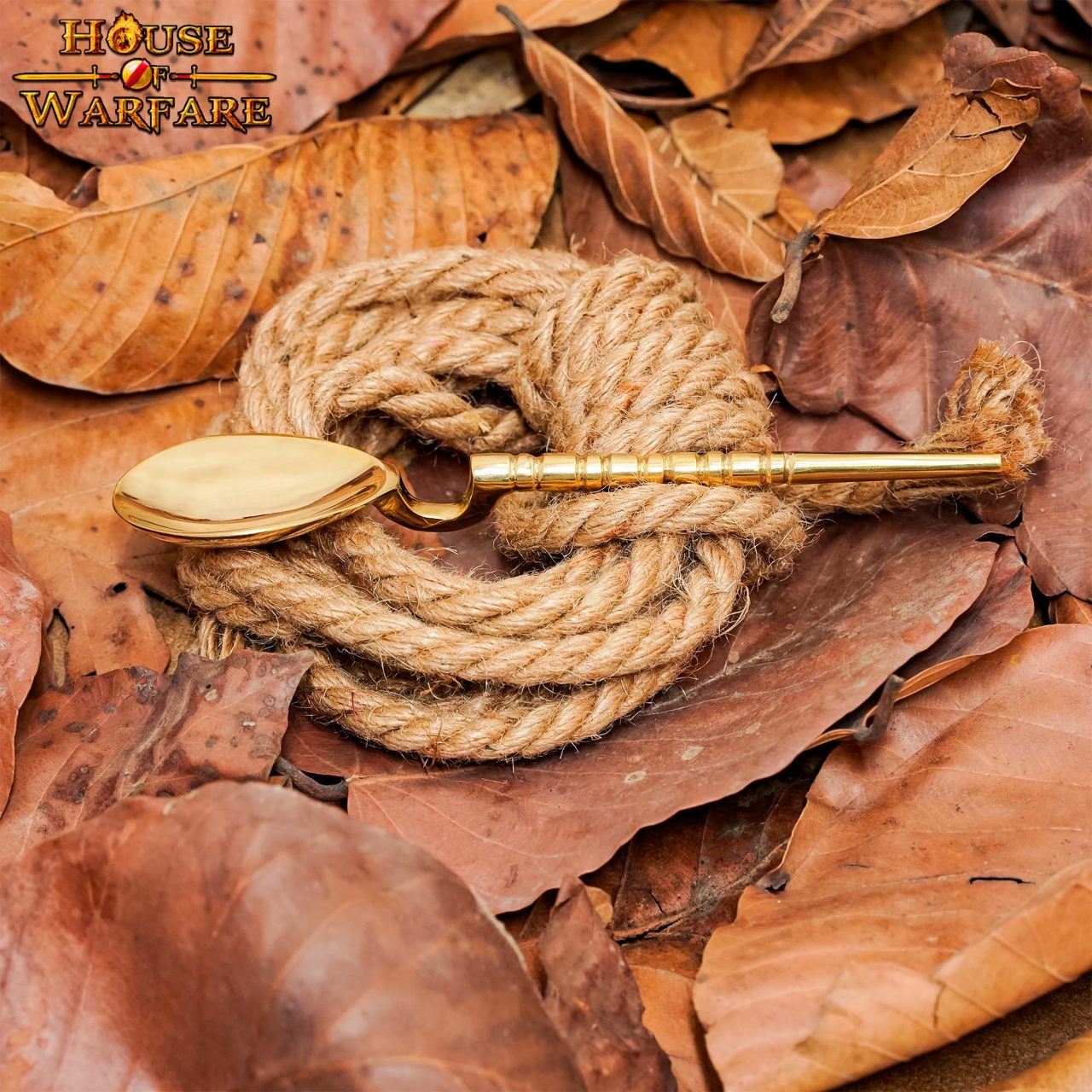 Pure Brass Historic Roman Spoon