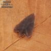 Historic Flint Stone Stemmed Hunting Arrowhead Brown 4cm