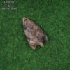 701824_4 Historic Flint Stone Stemmed Hunting Arrowhead Brown 4.8cm