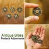 Antique Brass Pentacle Adornments Set of 5   Ideal Leather and Clothing Accessory