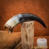WhatsApp-Image-2023-06-10-at-7.00.29-PM-3 Genuine Drinking Horn with Hand-Carved Aegishjalmur / Helm of Awe Motif