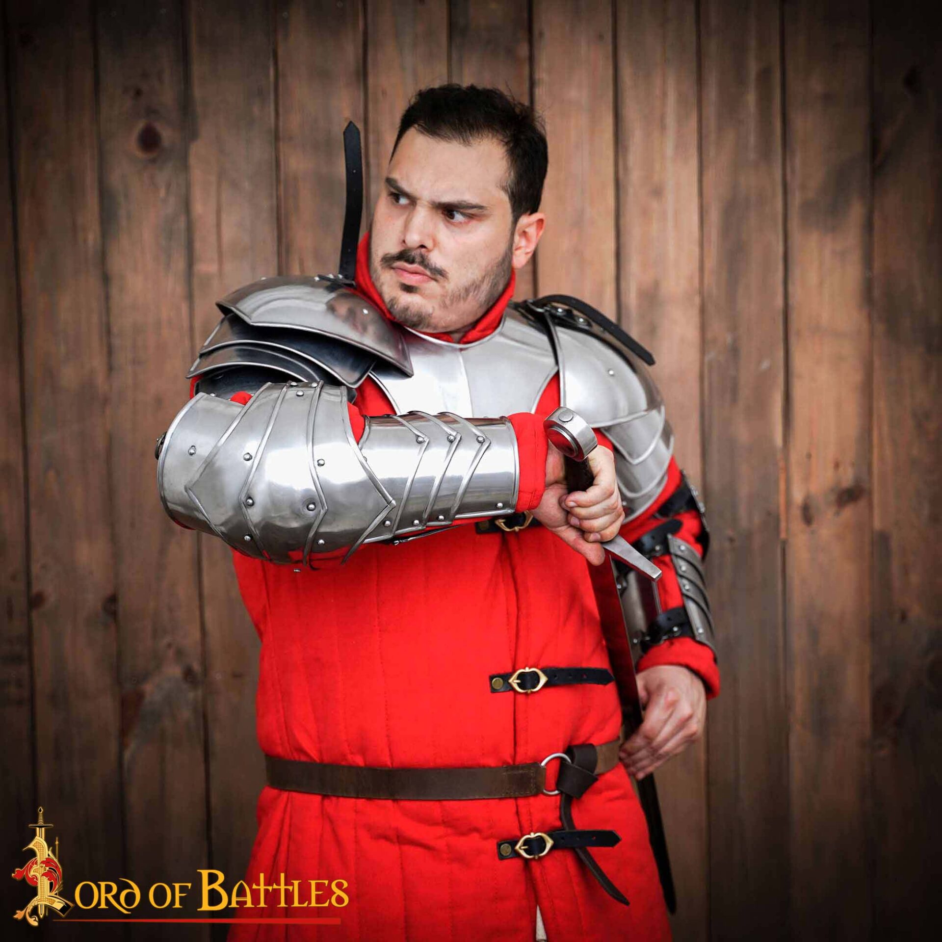 Medieval Arm Armour-9308P 4 Arm Harness