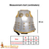 Winged Hussar Cuirass