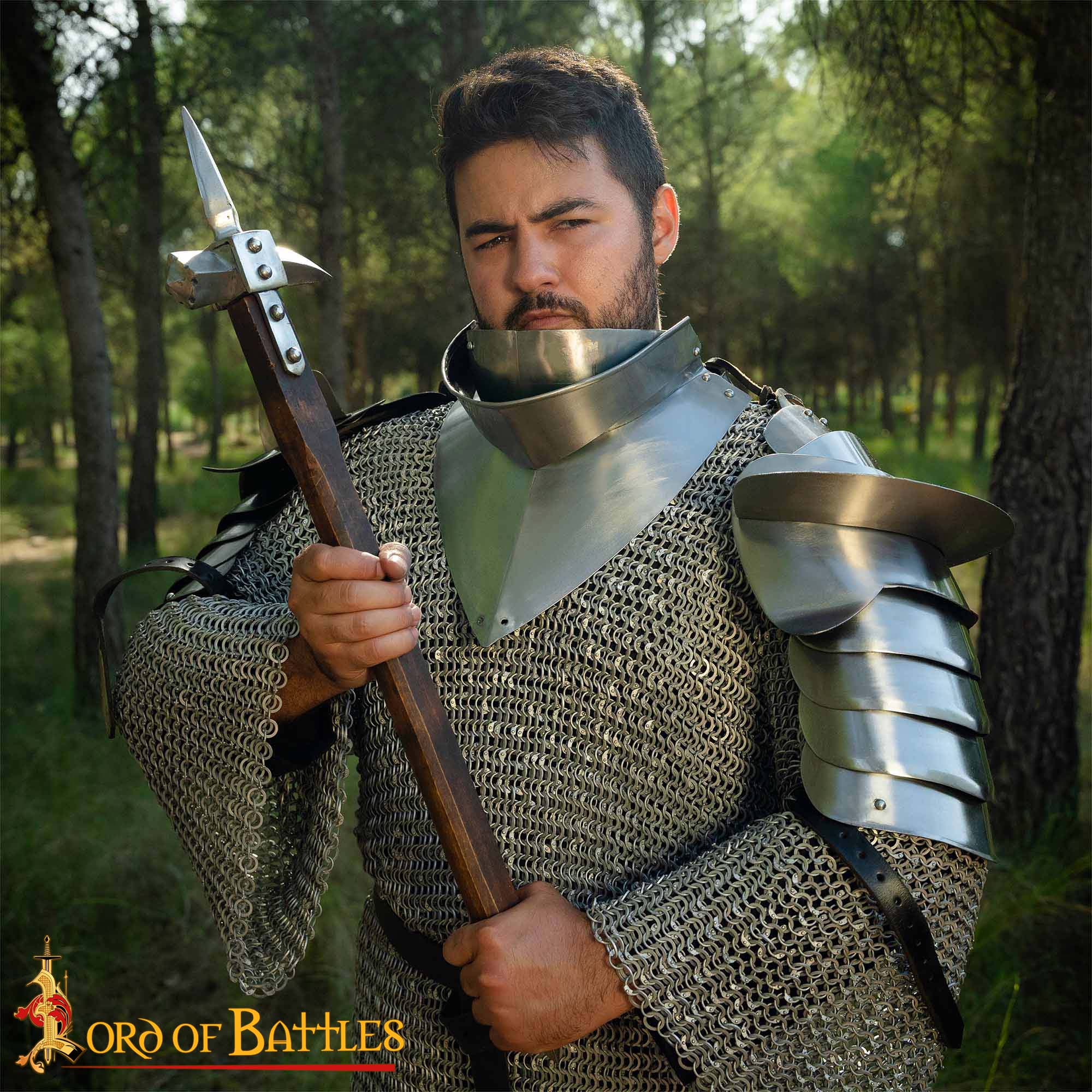 Medieval Gorgets-9262P 1 Medieval 15th Century Gorget with bevor 16 gauge