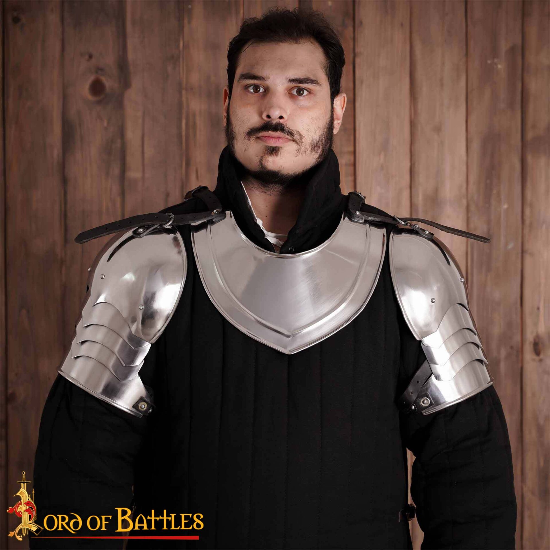 Medieval Knightly Spaulders Functional Shoulder Armor 16 gauge