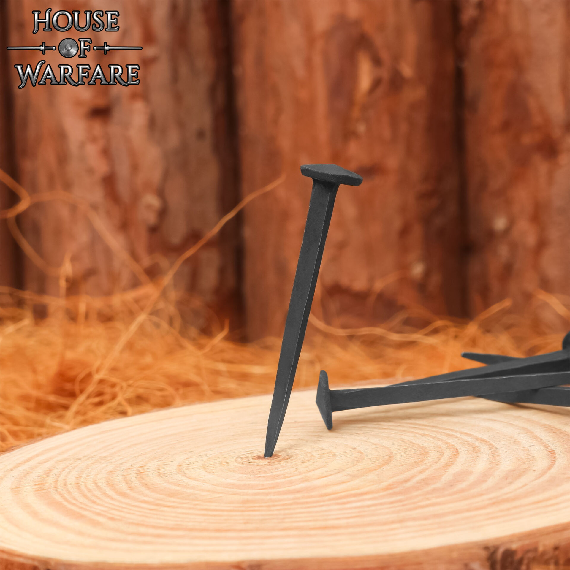 Hand Forged Medieval Shield Nails – Set of 10 PCS Medieval Shield Nails