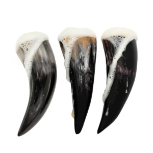 Viking Horn Drink Set of 3 - Natural Ox Horn Cups