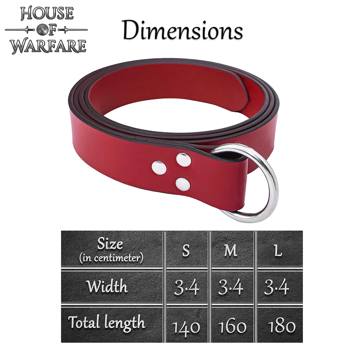 Medieval Leather O-Ring Belt Warrior’s Belt for Tunics & Robes - Image 3