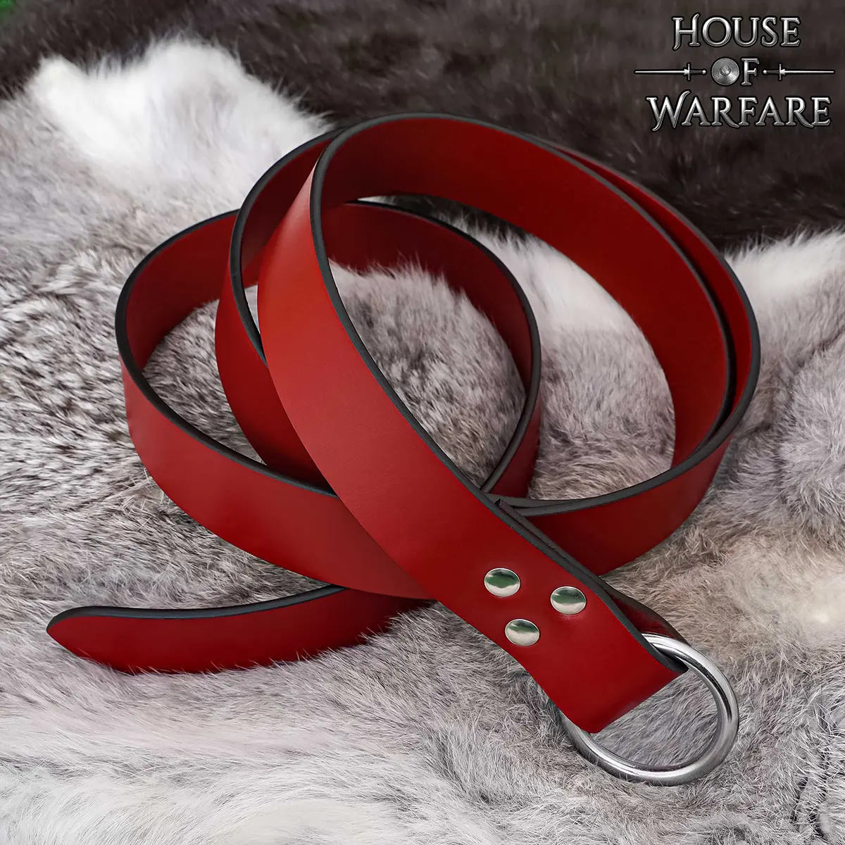 Medieval Leather O-Ring Belt Warrior’s Belt for Tunics & Robes - Image 6