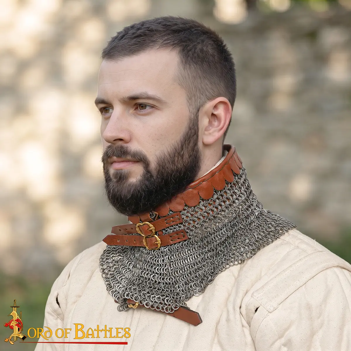 Chainmail Collar Round Ring Round Riveted With Alt Rings, 6mm 18G - Image 4