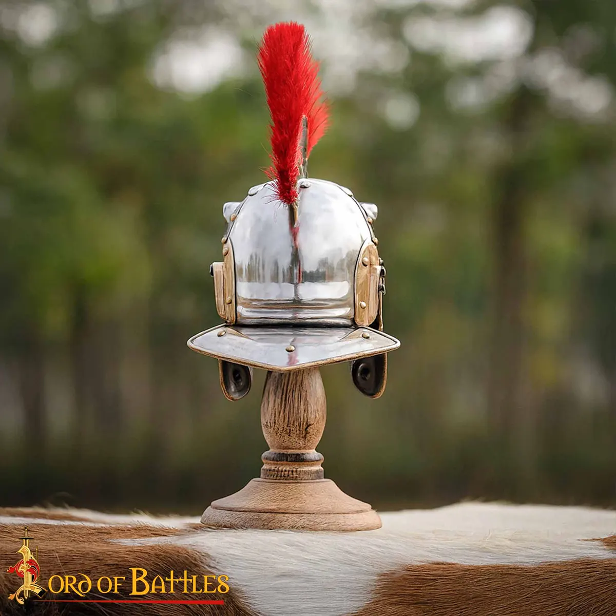 3107CH20-Gallery-Ai-4