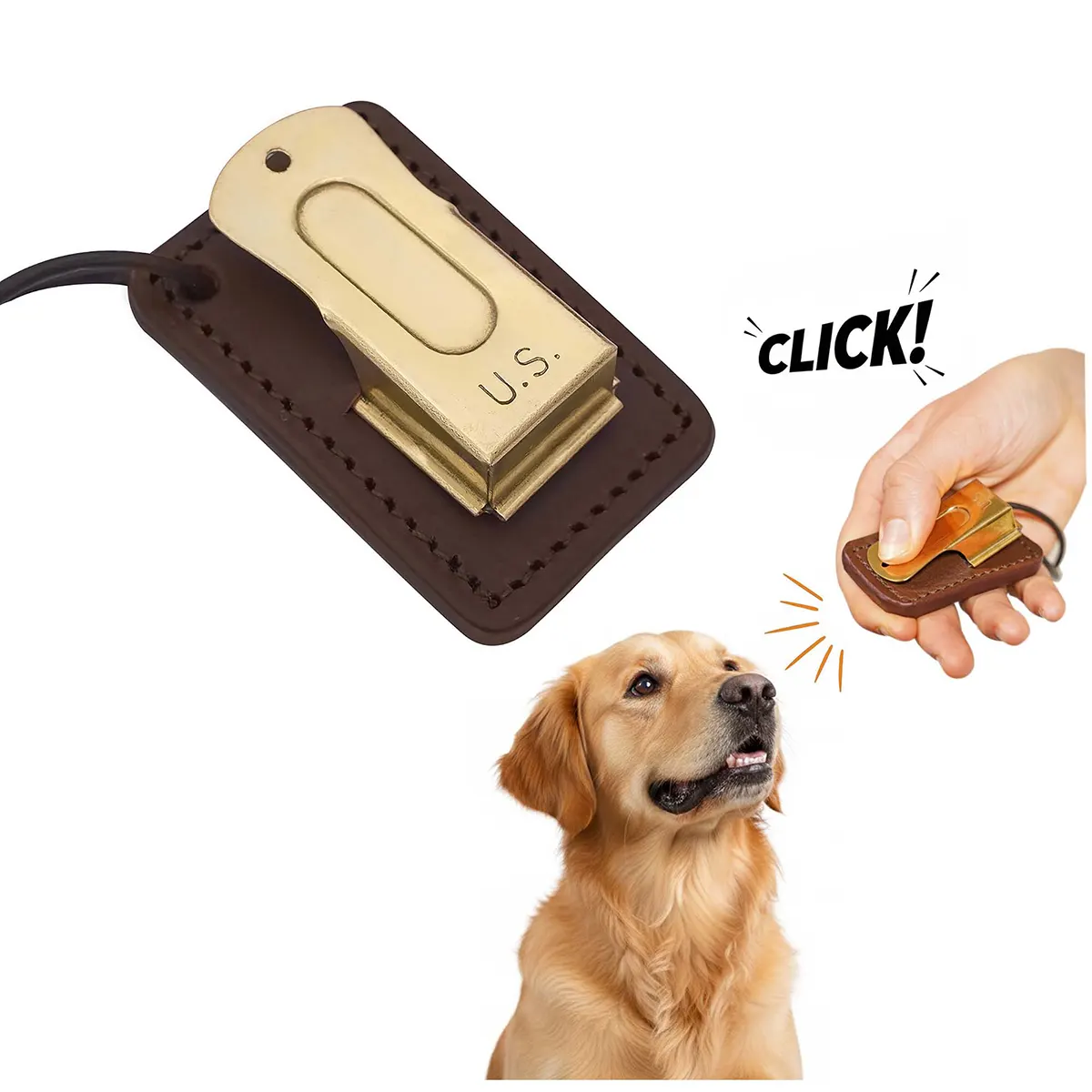 300004B-Gallery-Ai-2