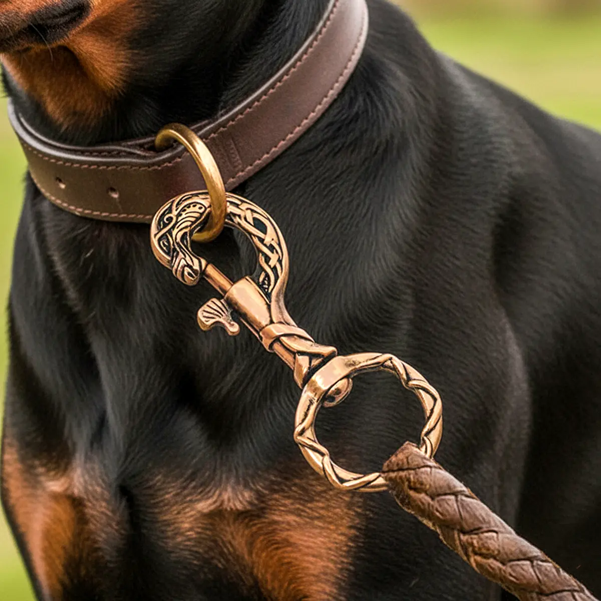 500293BZ-Gallery-Ai-3