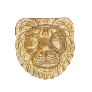 Brass Decoration Lion Head