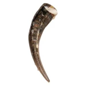 Medieval Viking Drinking Horn, Ox Horn Tankard for Mead, Ale (400 ml / 13.5 oz)